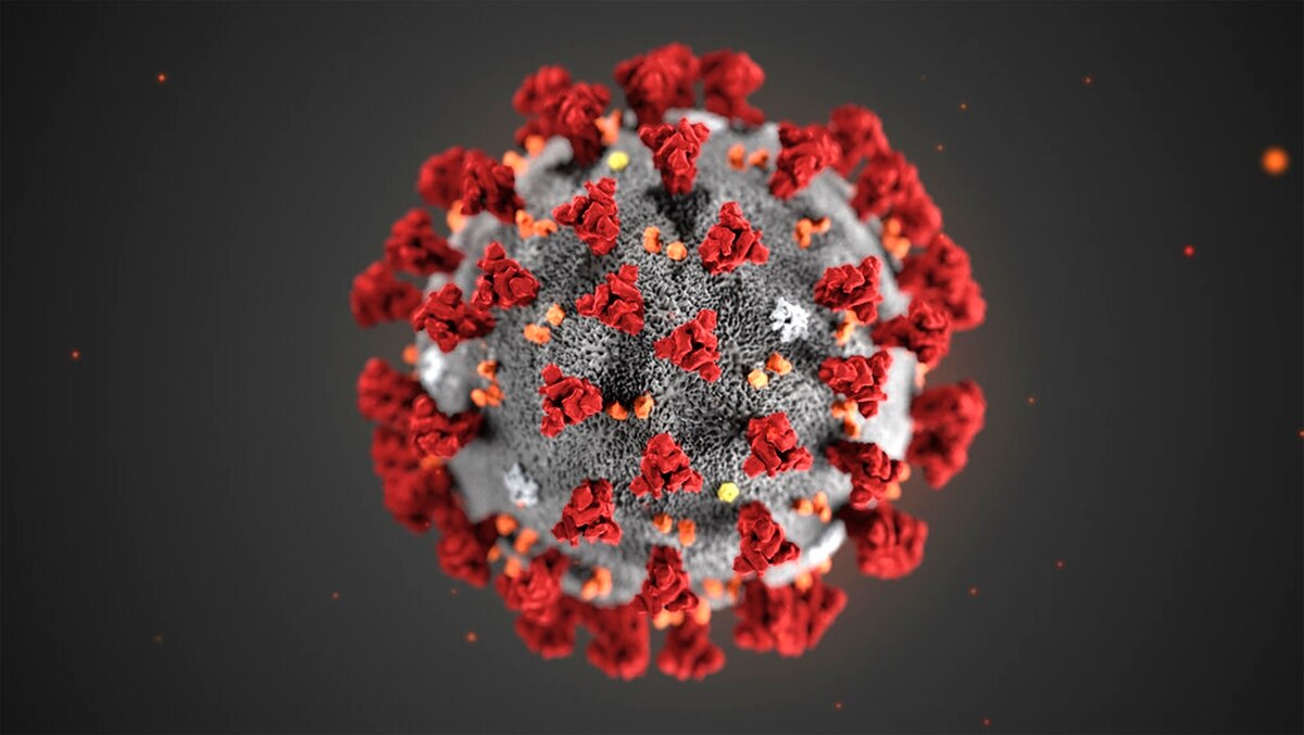 Pandemia e Virusit Korona – A është koha e duhur për të filluar investimet?