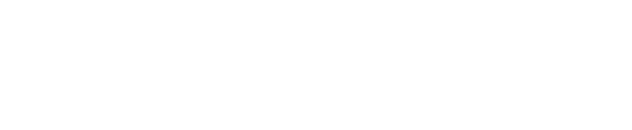 WVP Dividend Aksione