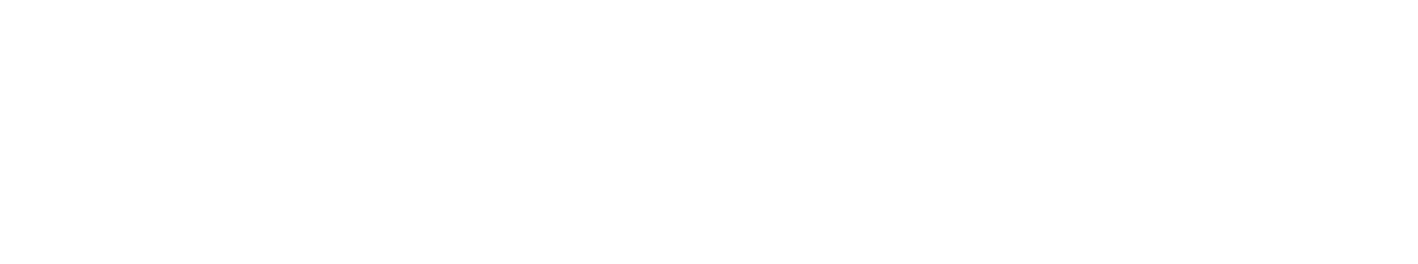 WVP Јуниор Инвестициски Клуб